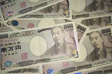 Japanese money for loan default risk analysis